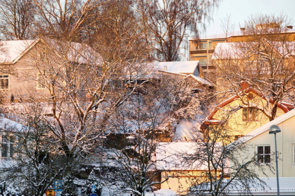 A snowy cityscape showing residential rooftops and buildings.